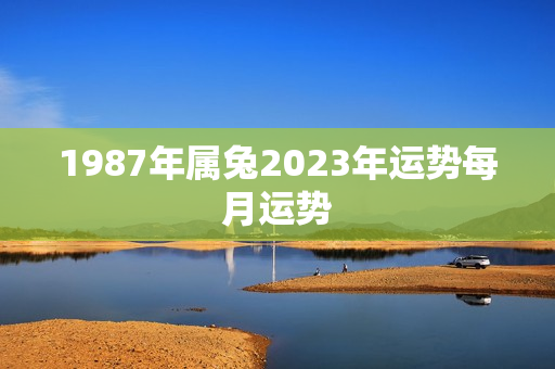 1987年属兔2023年运势每月运势