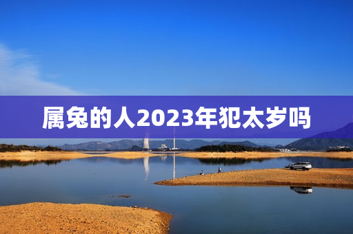 属兔的人2023年犯太岁吗