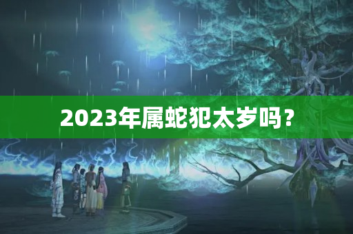 2023年属蛇犯太岁吗？