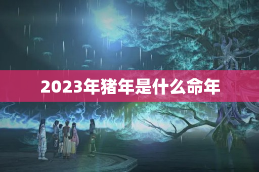 2023年猪年是什么命年