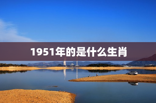 1951年的是什么生肖