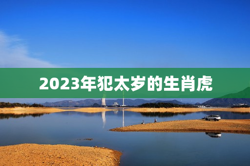 2023年犯太岁的生肖虎