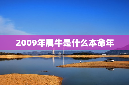 2009年属牛是什么本命年