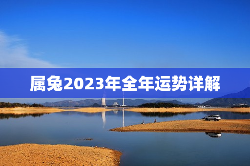 属兔2023年全年运势详解