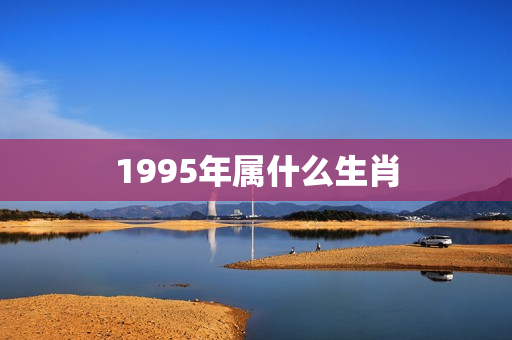 1995年属什么生肖