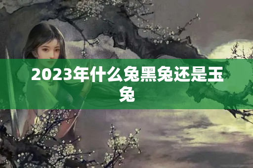 2023年什么兔黑兔还是玉兔