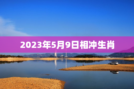 2023年5月9日相冲生肖