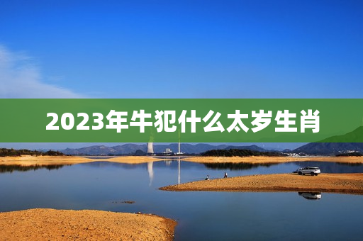 2023年牛犯什么太岁生肖