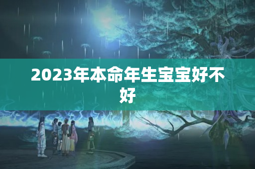 2023年本命年生宝宝好不好