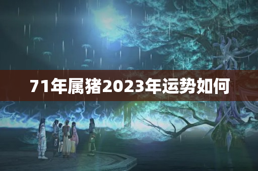 71年属猪2023年运势如何