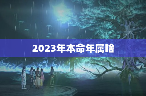 2023年本命年属啥