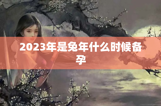 2023年是兔年什么时候备孕