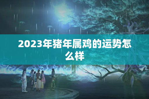 2023年猪年属鸡的运势怎么样