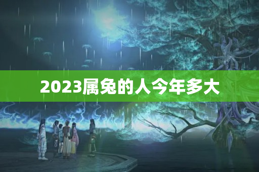 2023属兔的人今年多大