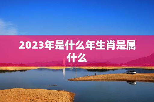 2023年是什么年生肖是属什么