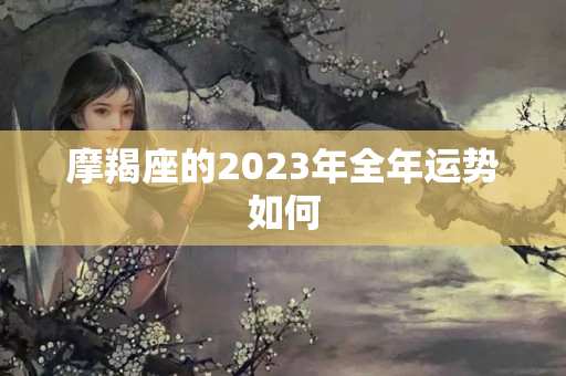 摩羯座的2023年全年运势如何