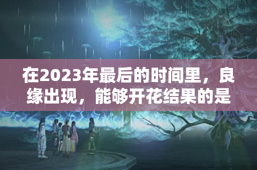 在2023年最后的时间里，良缘出现，能够开花结果的是什么