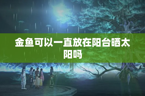 金鱼可以一直放在阳台晒太阳吗