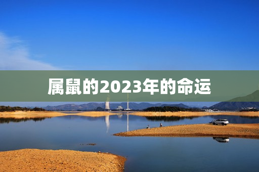 属鼠的2023年的命运