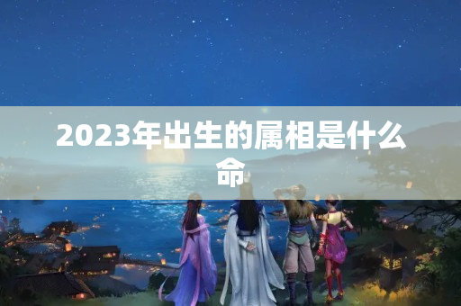 2023年出生的属相是什么命