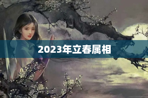 2023年立春属相