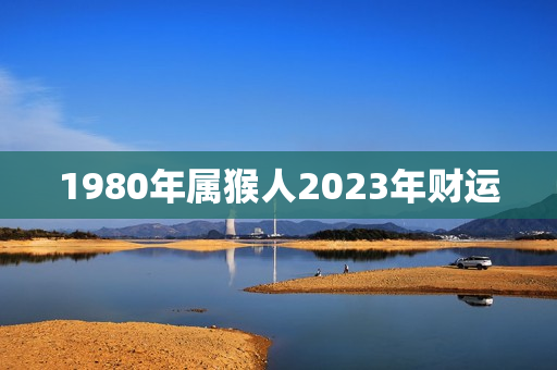 1980年属猴人2023年财运