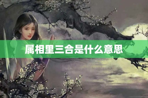 属相里三合是什么意思