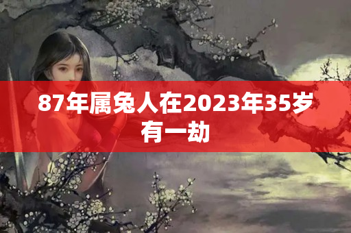 87年属兔人在2023年35岁有一劫