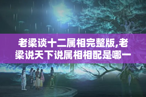 老梁谈十二属相完整版,老梁说天下说属相相配是哪一期（老梁故事汇十二生肖什么无心）