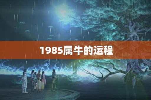 1985属牛的运程