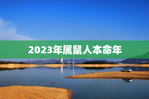 2023年属鼠人本命年