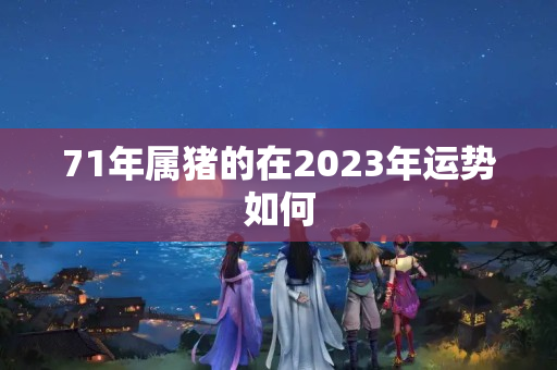 71年属猪的在2023年运势如何