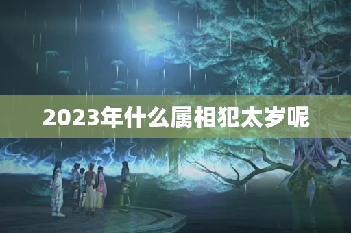 2023年什么属相犯太岁呢