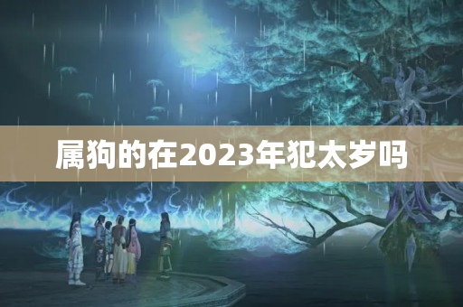 属狗的在2023年犯太岁吗