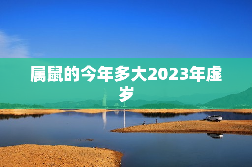 属鼠的今年多大2023年虚岁