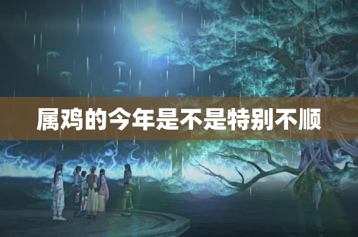 属鸡的今年是不是特别不顺