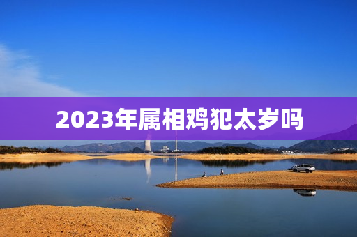 2023年属相鸡犯太岁吗