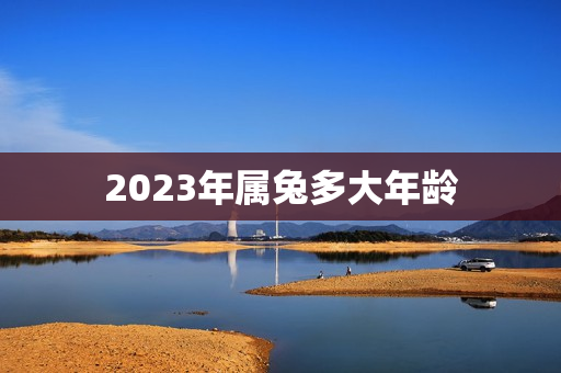 2023年属兔多大年龄