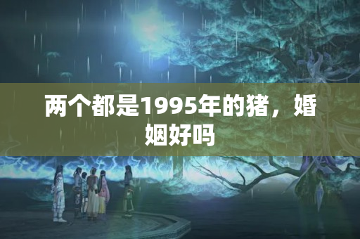 两个都是1995年的猪，婚姻好吗