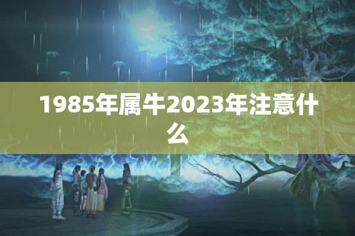 1985年属牛2023年注意什么