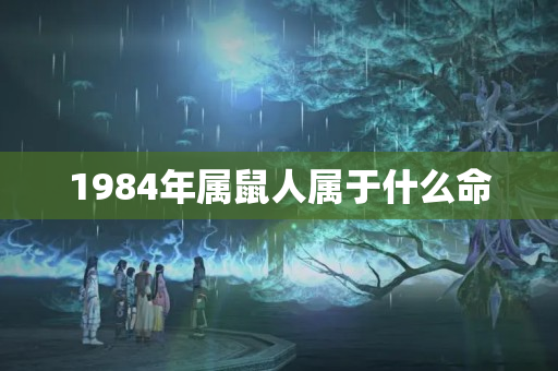 1984年属鼠人属于什么命