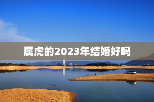 属虎的2023年结婚好吗