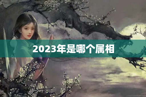 2023年是哪个属相