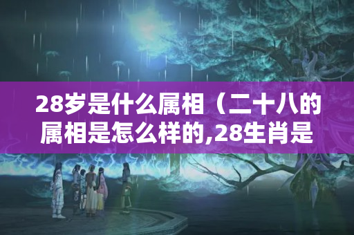 28岁是什么属相（二十八的属相是怎么样的,28生肖是什么。）