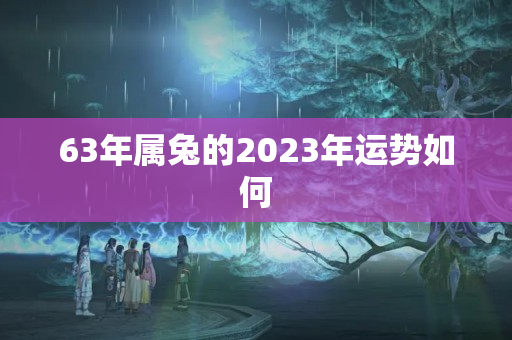 63年属兔的2023年运势如何