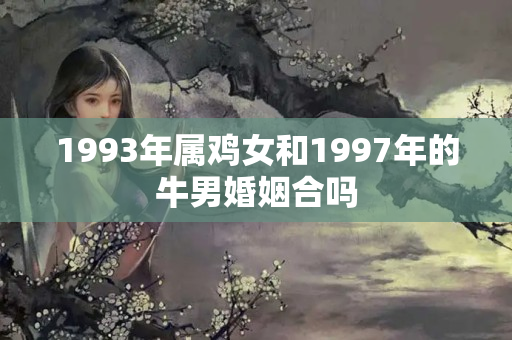 1993年属鸡女和1997年的牛男婚姻合吗