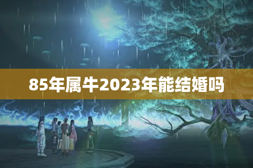 85年属牛2023年能结婚吗