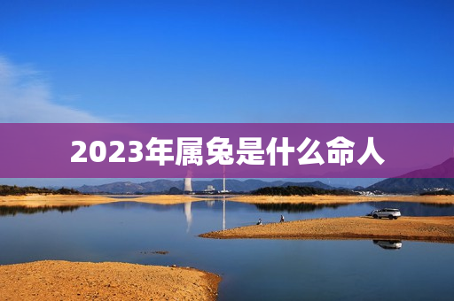 2023年属兔是什么命人