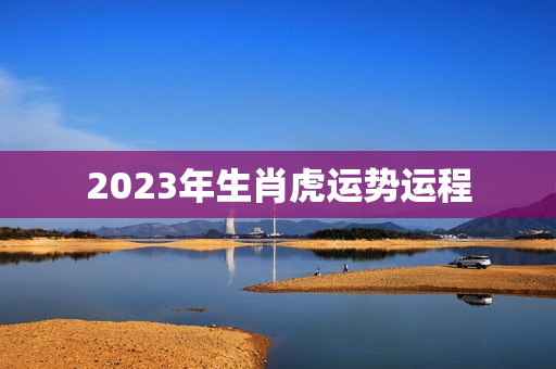 2023年生肖虎运势运程