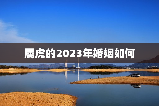 属虎的2023年婚姻如何